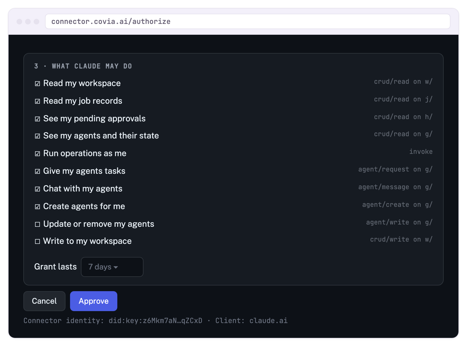 The capability grant on the consent page